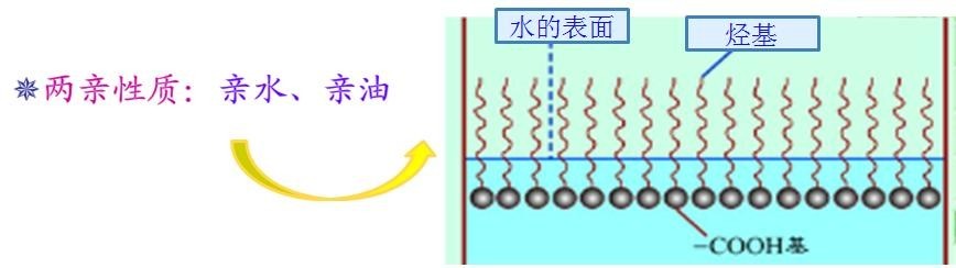 <a href='http://yanghongsh.com/product/product-0001,0011,0018.shtml' class='keys' title='點(diǎn)擊查看關(guān)于潤(rùn)濕劑的相關(guān)信息' target='_blank'>潤(rùn)濕劑</a>